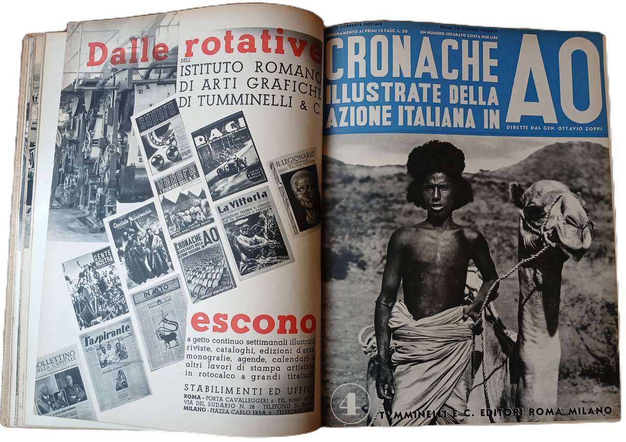 Cronache illustrate dell'azione italiana in A. O.