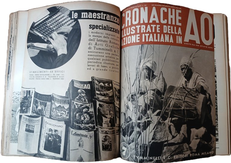 Cronache illustrate dell'azione italiana in A. O.