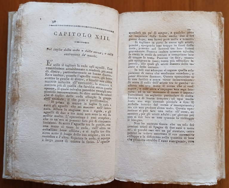 Del governo delle pecore spagnuole e italiane e dei vantaggi … | Immagine Gallery 7