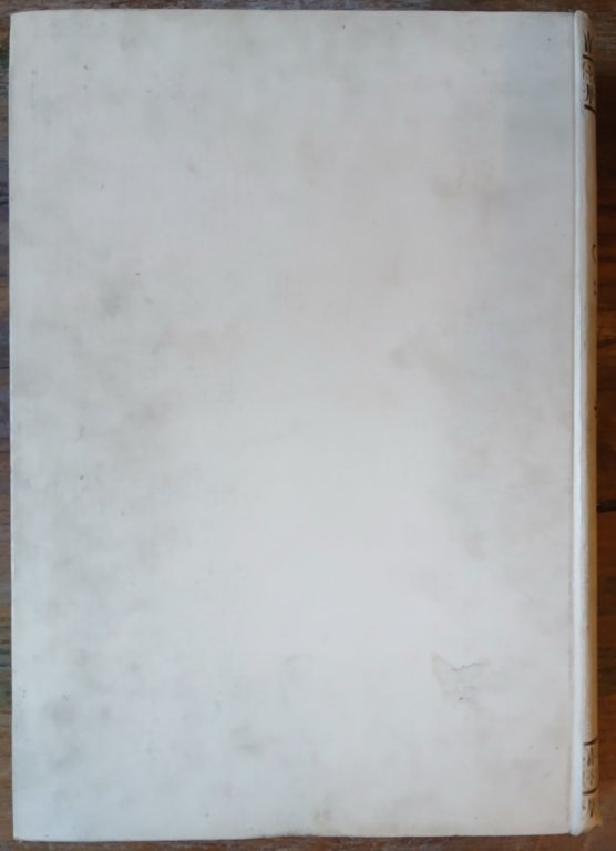 Don Chisciotte della Mancia di Michele Cervantes di Saavedra. Illustrato … | Immagine Gallery 2