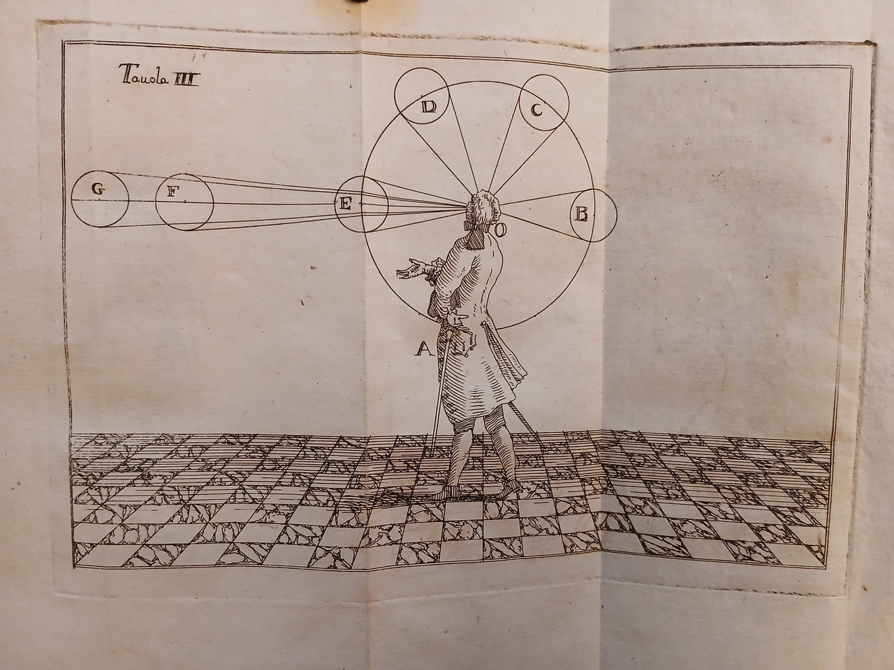 Elementi di prospettiva per uso degli architetti, e pittori esposti … | Immagine principale