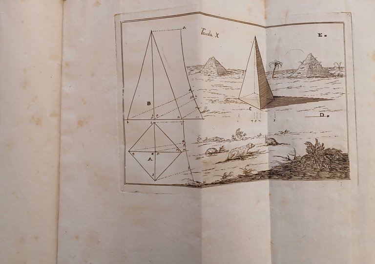 Elementi di prospettiva per uso degli architetti, e pittori esposti … | Immagine Gallery 5