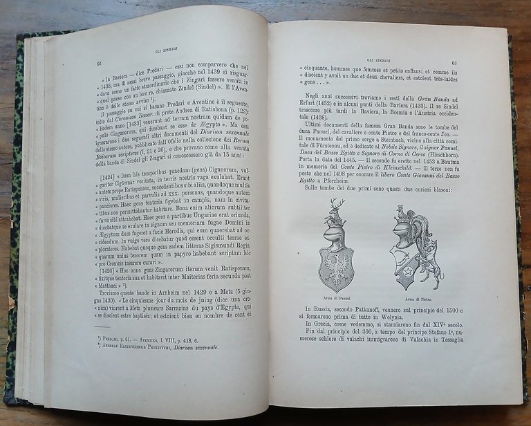 Gli Zingari. Storia d'un popolo errante.