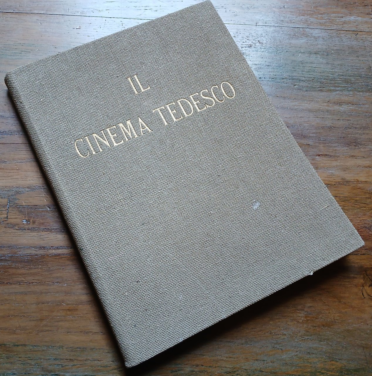 Il cinema tedesco. Organizzazione, Dirigenti, Case di produzione, Registi, Attrici, …