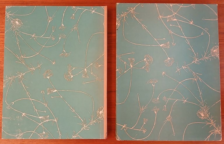 Il falso e vero verde.