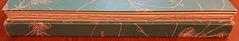 Il falso e vero verde.