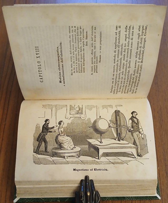 Il Magnetismo animale considerato secondo le leggi della natura e … | Immagine Gallery 6