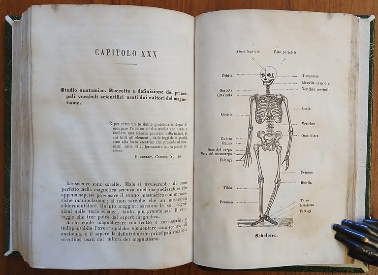 Il Magnetismo animale considerato secondo le leggi della natura e … | Immagine Gallery 7