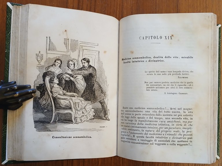 Il Magnetismo animale considerato secondo le leggi della natura e … | Immagine Gallery 8