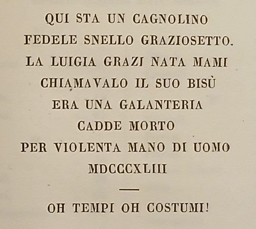 Iscrizioni italiane del Dottor Carlo Mongardi medicinese socio di varie … | Immagine principale