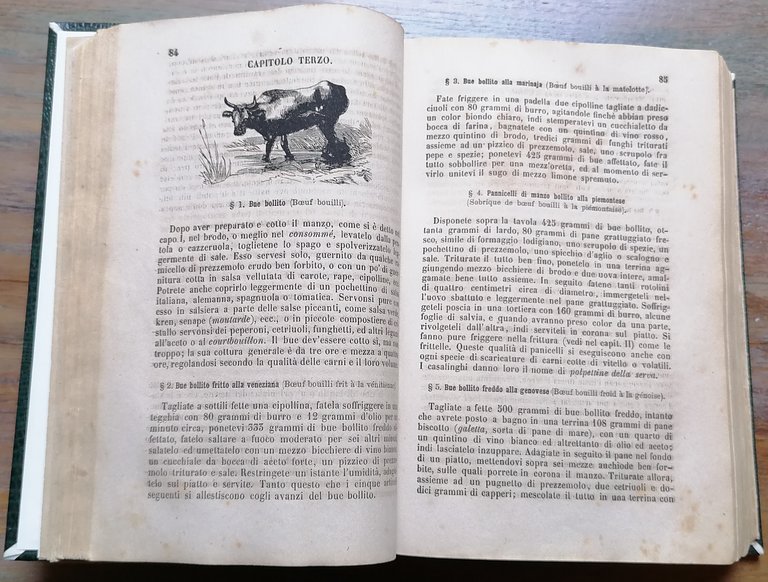 La Gastronomia moderna, istruzione elementare pratica della cucina, pasticceria, confettureria … | Immagine Gallery 8