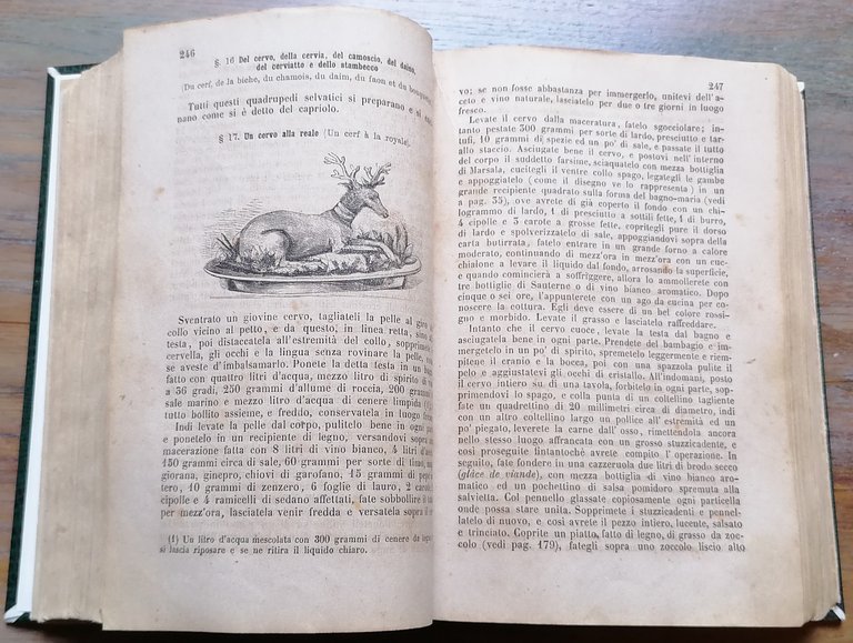 La Gastronomia moderna, istruzione elementare pratica della cucina, pasticceria, confettureria … | Immagine Gallery 9