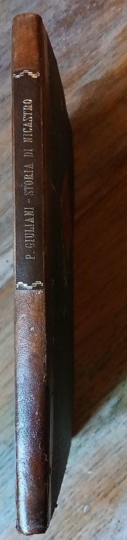 Memorie istoriche della Città di Nicastro da' tempi più remoti …