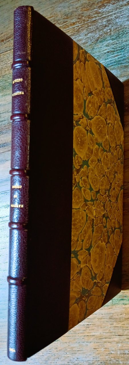 Memorie storiche e illustrative del Borgo di Galliate.