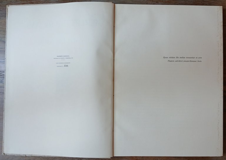 Merletti e ricami dell'Aemilia Ars. | Immagine Gallery 3