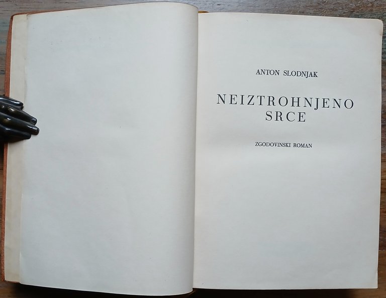 Neiztrohnjeno srce. Zgodovinski roman.
