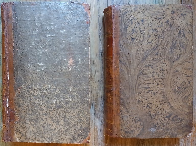 Origine della lingua italiana – Dizionario gallo-italico, ossia raccolta di … | Immagine Gallery 2