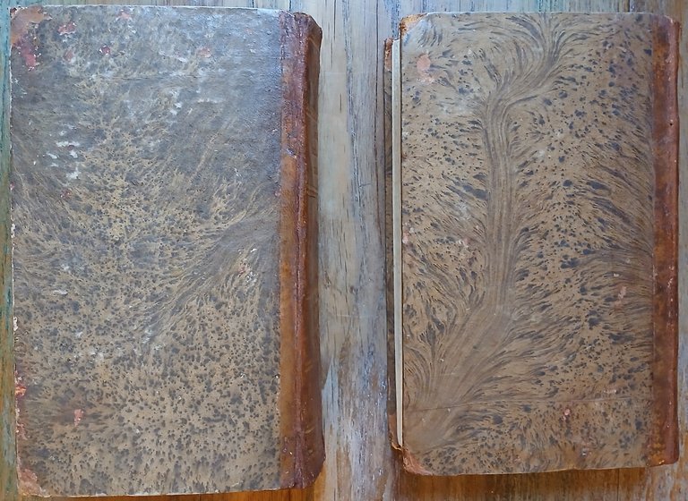 Origine della lingua italiana – Dizionario gallo-italico, ossia raccolta di … | Immagine Gallery 3