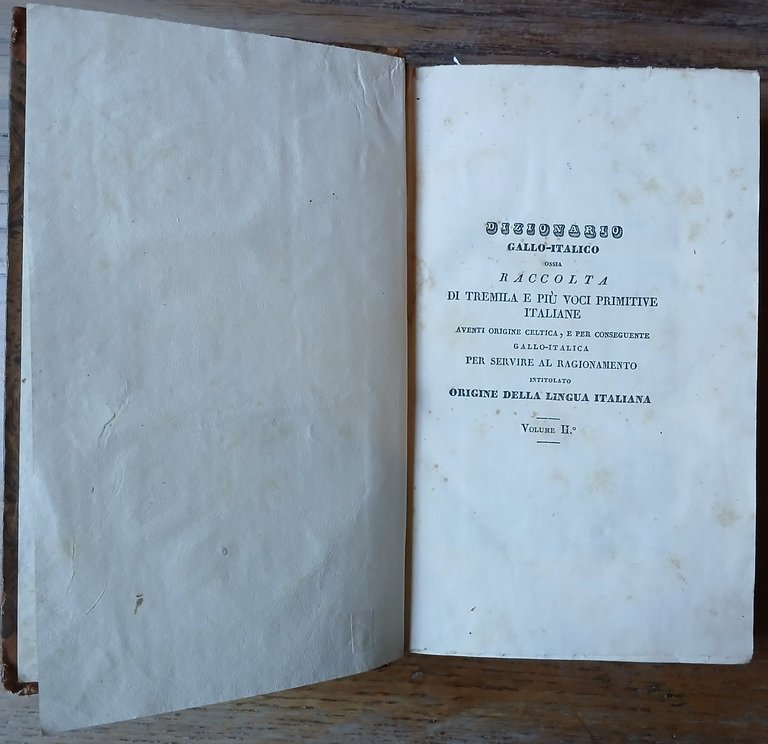 Origine della lingua italiana – Dizionario gallo-italico, ossia raccolta di … | Immagine Gallery 9