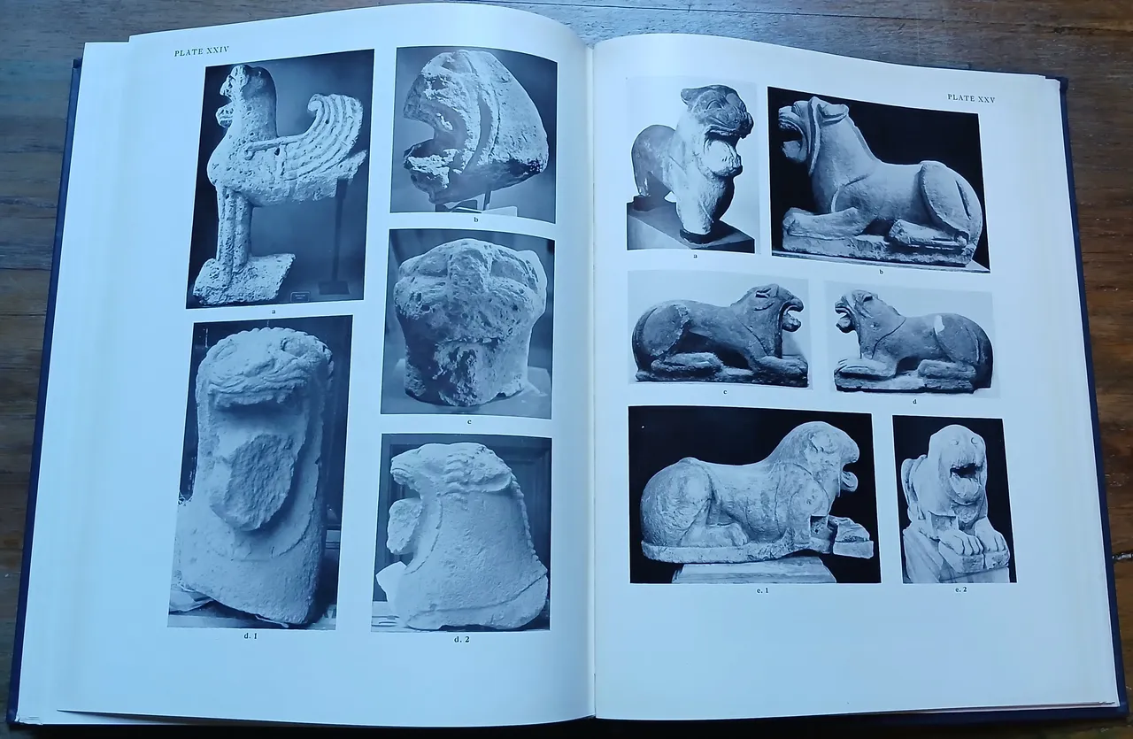 The Etruscan lion. | Immagine principale