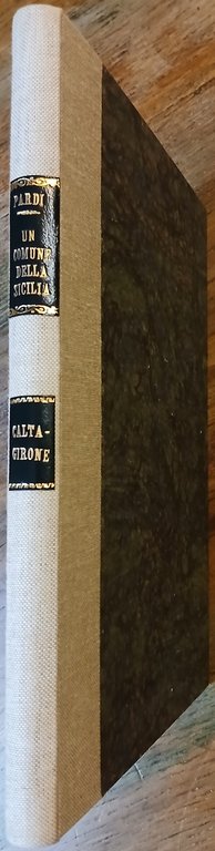 "Un Comune della Sicilia e le sue relazioni con i … | Immagine Gallery 1