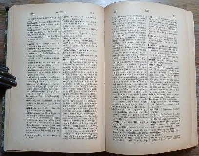 Vocabolario dialettale Calabro-Reggino-Italiano.