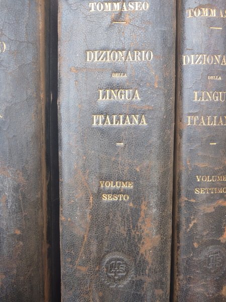 DIZIONARIO DELLA LINGUA ITALIANA