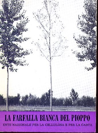 La Farfalla Bianca Del Pioppo | Immagine principale