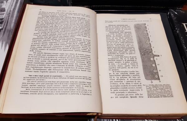 Anatomia Degli Animali Domestici (2 Voll.)