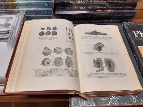 Anatomia Degli Animali Domestici (2 Voll.)