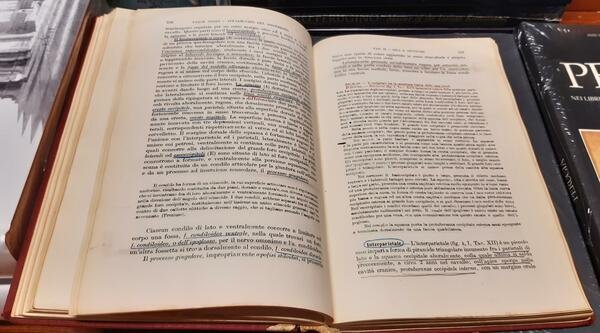 Anatomia Degli Animali Domestici (2 Voll.)