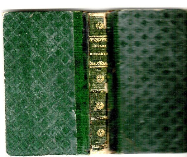 Dissertazione sopra lo stato presente della lingua italiana