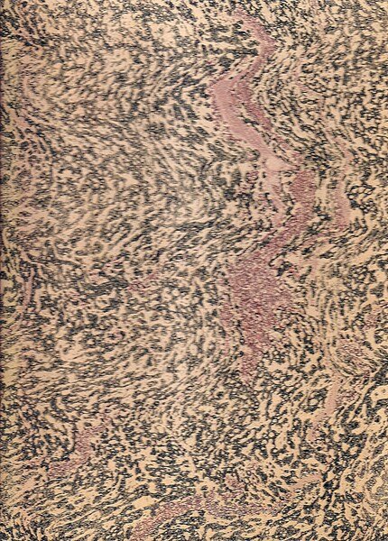 I tre nummi - La commedia del fantasma / La …