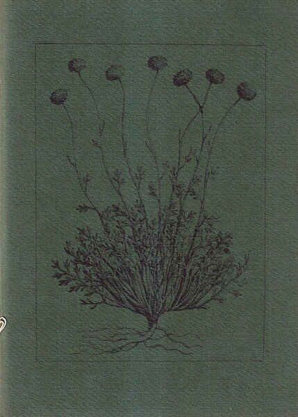 Seven Poems | Immagine principale