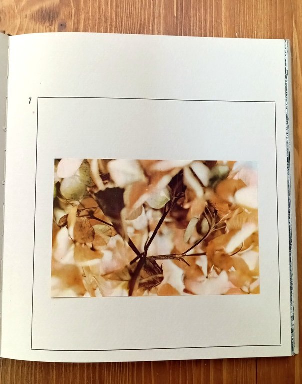 Addio Liberty | Immagine Gallery 2