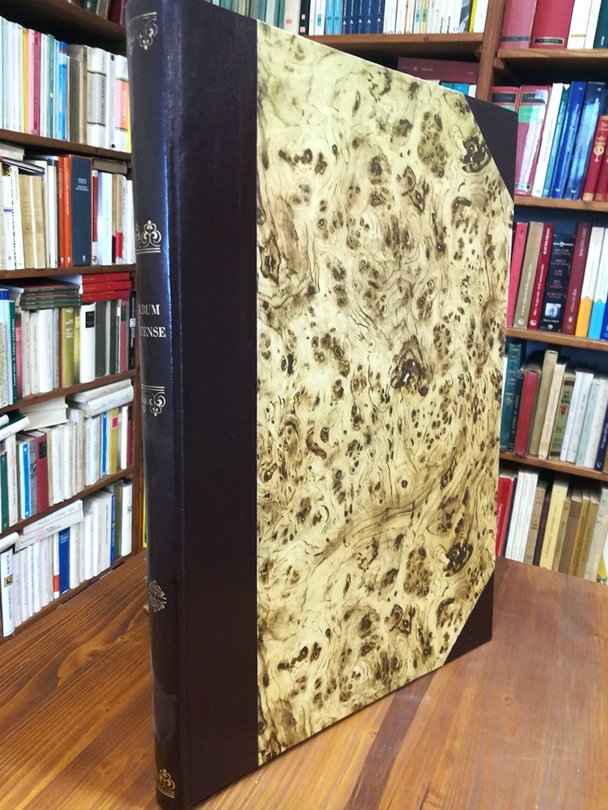 Album estense : con disegni originali dei rinomati artisti G. …