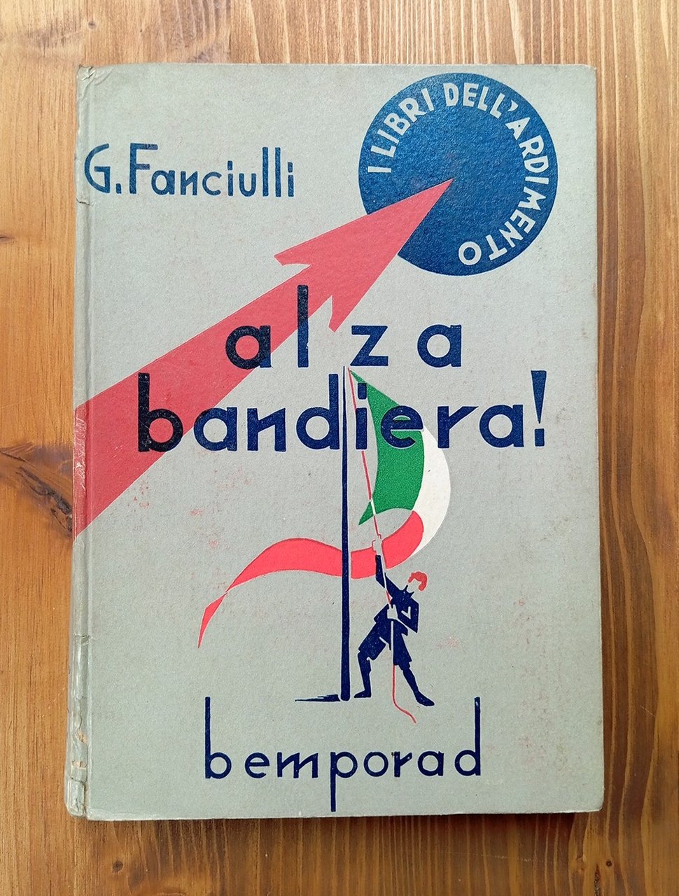 Alza bandiera! Romanzo per ragazzi