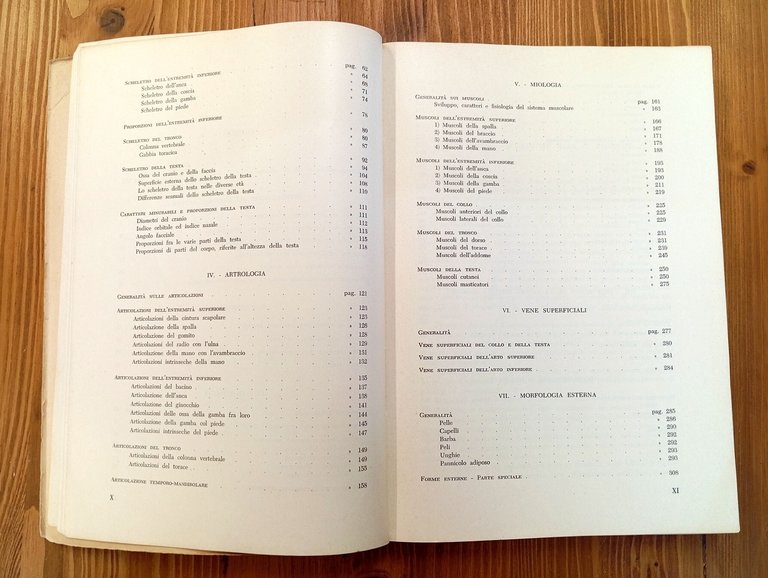 Anatomia per gli artisti