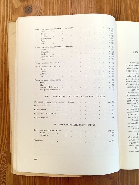 Anatomia per gli artisti