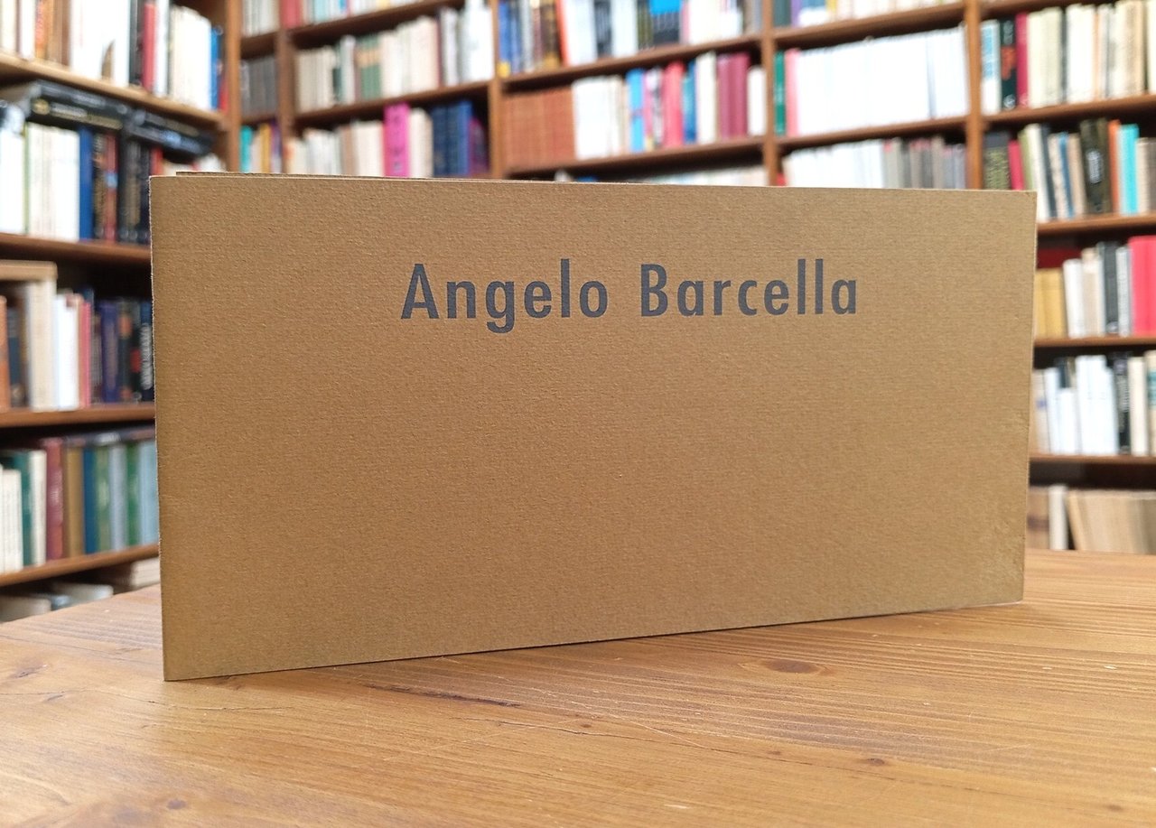 Angelo Barcella. Le anse e i declivi delle Cose... | Immagine principale