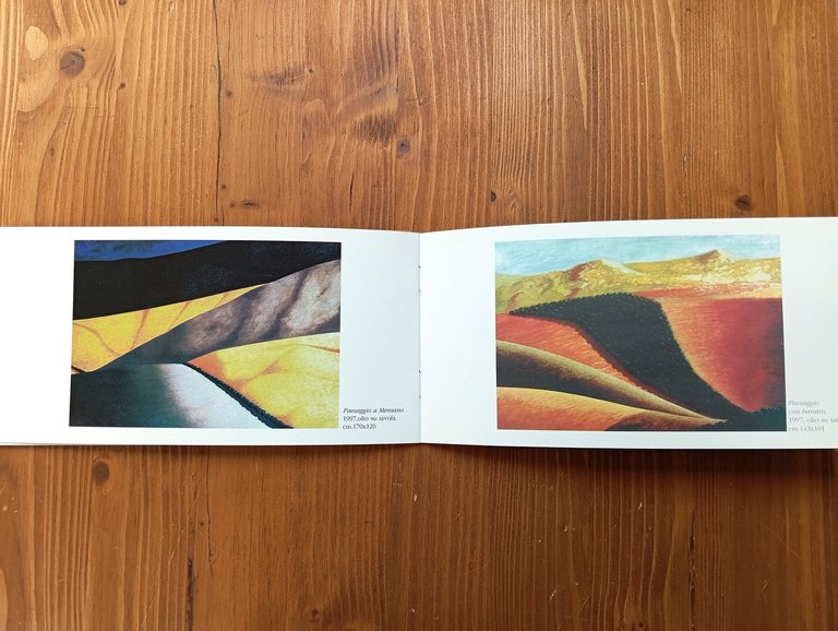 Angelo Barcella. Le anse e i declivi delle Cose... | Immagine Gallery 4