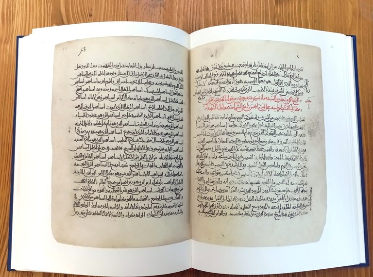 Arabic Homilies on the Nativity