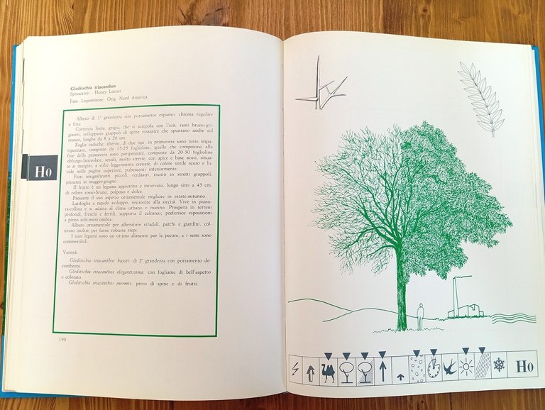 Arborario. Metodo a schede per identificare e scegliere gli alberi …