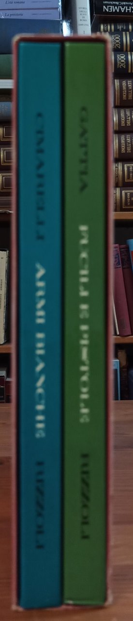 Armi bianche - Fucili e pistole