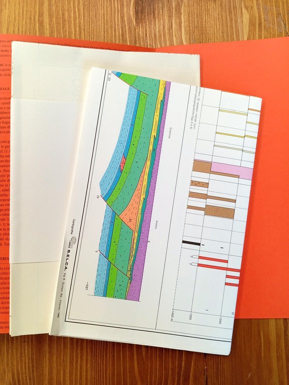 Atti ticinensi di scienze della terra. Vol. XXXI [31] (già …