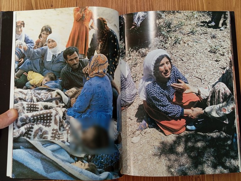 Blood Shed in Anatolia. From Terror to Savagery