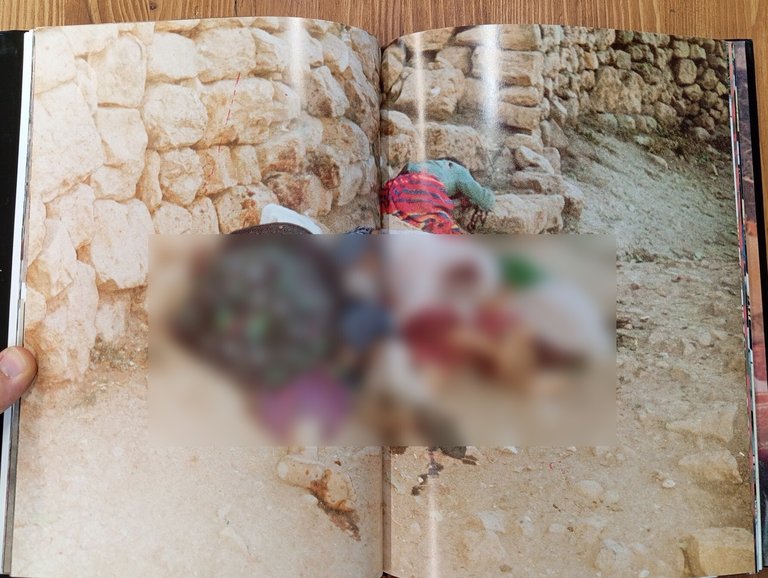 Blood Shed in Anatolia. From Terror to Savagery