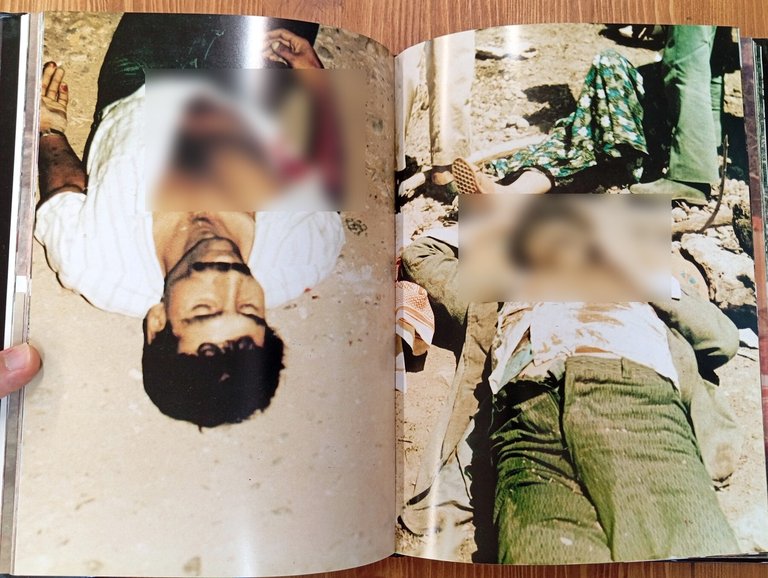 Blood Shed in Anatolia. From Terror to Savagery