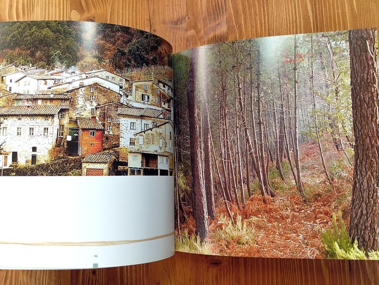 Capannori. Angoli docili e prospettive imprevedibili