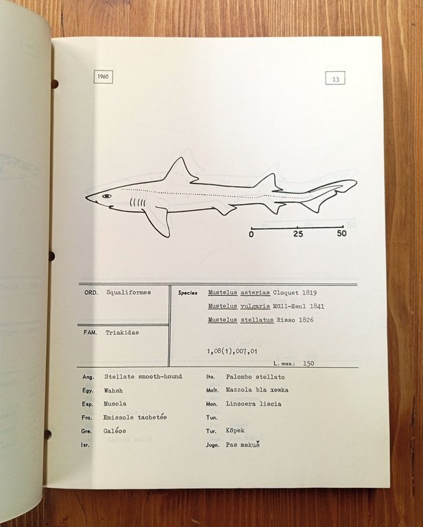 Catalogue des noms de poissons ayant une importance commerciale en …